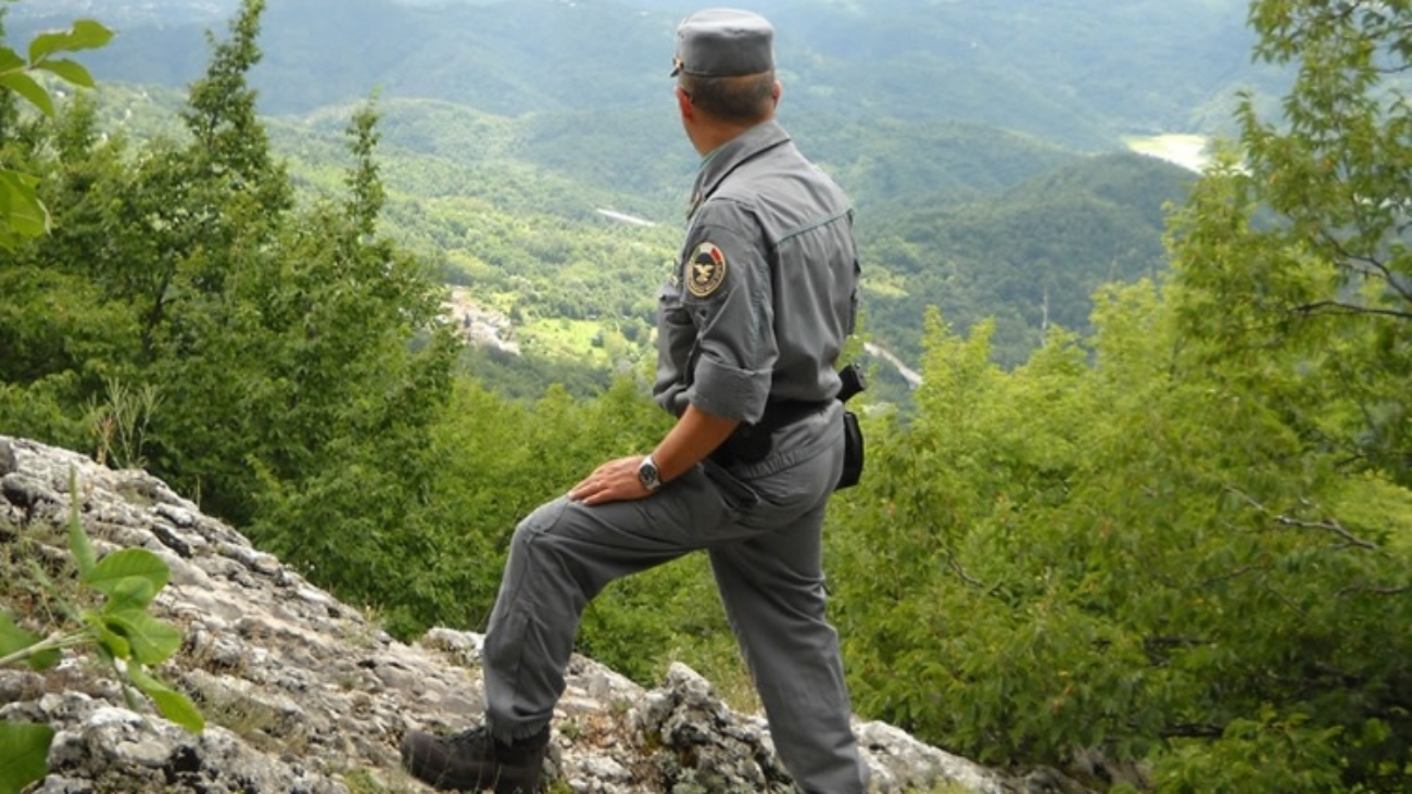 forestali